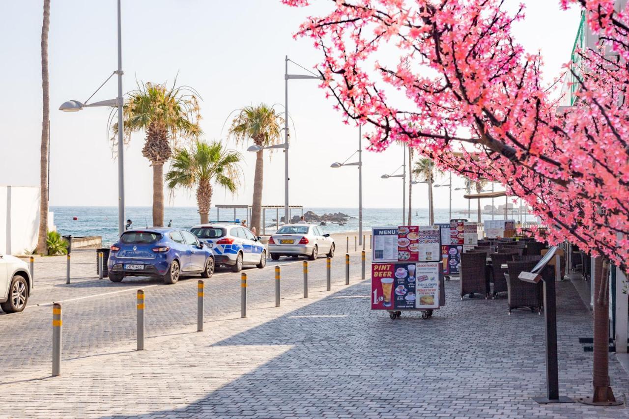 Light House - Seafront Cosy Studio With Library 파포스 외부 사진